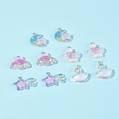 10pcs 5 Arten transparente Harzanhänger&nbsp;RESI-FS0002-08