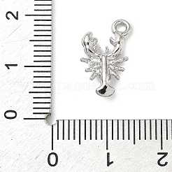 Aluminium Anhänger & Charms&nbsp;FIND-Z101-04P-01