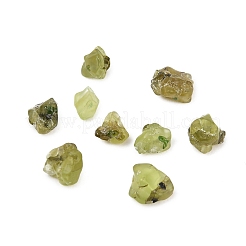Natürliche Peridot Perlen&nbsp;G-D363-A01