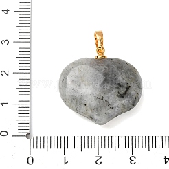 Natur Labradorit Anhänger&nbsp;G-B188-02G-09