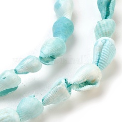 Spiralmuschelperlen Stränge&nbsp;BSHE-L037-09