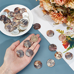 40 Stück Muschelknöpfe mit 2 Löchern&nbsp;BUTT-GO0001-10