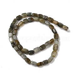 Perline labradorite naturale fili&nbsp;G-H087-D03-01