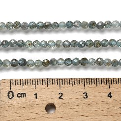 Natürliche Apatit Perlen Stränge&nbsp;G-RM2025-A23-3mm