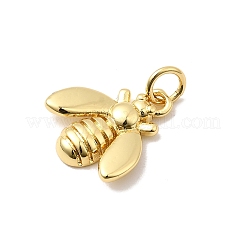 Charms in ottone&nbsp;KK-I364-05G-05