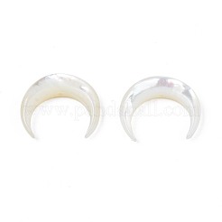 Perlas de concha de nácar de concha blanca natural&nbsp;SSHEL-T012-07