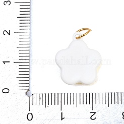 Anhänger aus sprühlackiertem Edelstahl 304&nbsp;STAS-D262-02C