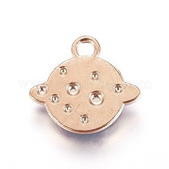 Zink Legierung Anhänger & Charms&nbsp;ENAM-P164-04