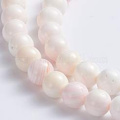 Natürliche rosa Muschelperlenstränge&nbsp;X-SSHEL-L016-18A