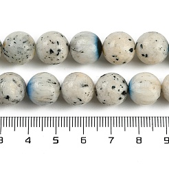 Natürliche blaue Eisgletschersteinperlenstränge&nbsp;G-H062-A04-04