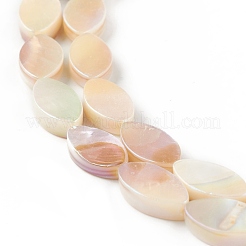 Eau douce naturelle de coquillage perles brins&nbsp;SHEL-T009-22
