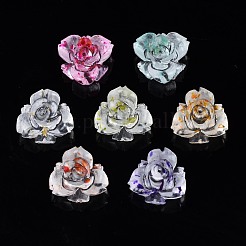 Transparente Harzcabochons&nbsp;CRES-S307-028