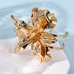 Bracelets manchettes en alliage et fer pour femmes&nbsp;BJEW-F501-01C-KCG