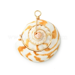 Kupferdraht umwickelte natürliche Shiva-Augen-Muschelanhänger&nbsp;PALLOY-TA00185