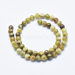 Natürliche Serpentin Jade Perlen Stränge&nbsp;G-P353-06-8mm