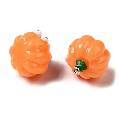 Pendentifs végétaux en résine opaque de dessin animé d'automne&nbsp;CRES-B018-06