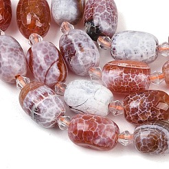 Naturelles feu crépitent agate perles brins&nbsp;G-K393-G02-12x16