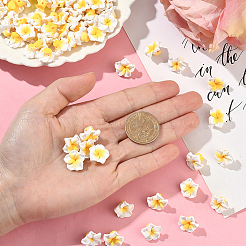 100pcs handgefertigte Fimo 3d Blume Plumeria Perlen&nbsp;CLAY-SC0002-48C