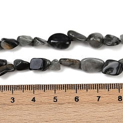 Natürliche Adlerauge Steinperlen&nbsp;G-Q060-D06