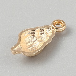 Aluminium Anhänger & Charms&nbsp;PALLOY-WH0120-30E