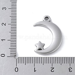 Pendentifs en acier inoxydable 304&nbsp;STAS-E548-03P