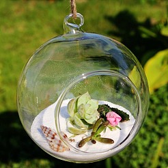 Transparente Wandbehang Glaskugel Pflanzer Terrarium Behälter Vase&nbsp;LS-DIY-L047-01