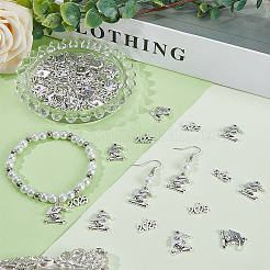 2 styles de pendentifs en alliage de style tibétain&nbsp;PALLOY-SC0012-66