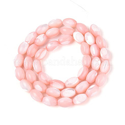 Brins de perles de coquillages naturels de troca&nbsp;SHEL-K006-19-01F