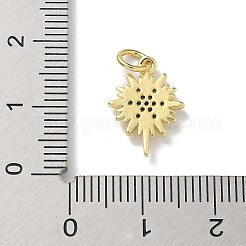 Pendentifs avec zircon cubiques à micro-pavés en laiton&nbsp;KK-M300-06G-01