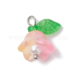 Anhänger aus Glasperlen und Acryl in verschiedenen Farben&nbsp;PALLOY-JF02567-01