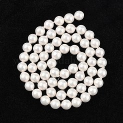 Shell Perlenstränge&nbsp;X-BSHE-R146-6mm-02