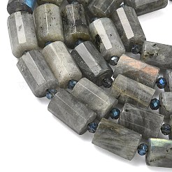 Natur Labradorit Perlen Stränge&nbsp;G-G453-E10-10x14mm