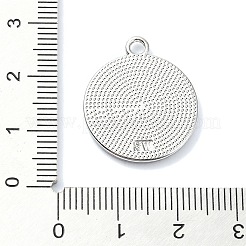 Crémaillère placage pendentifs en émail d'alliage&nbsp;ENAM-Z016-06P-01