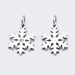 Umweltfreundliche 316 chirurgische Edelstahl Micro Pave Zirkonia Charms&nbsp;RB-I078-71P-NR