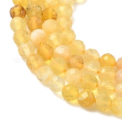 Natürliche gelb Opalkorne Stränge&nbsp;G-F509-07-3mm-02