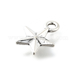 Pendentifs en alliage de style tibétain&nbsp;PALLOY-R157-01AS-02