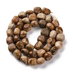 Chapelets de perles en jaspe avec images naturelles&nbsp;G-G146-A01-02