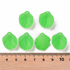 Colgantes transparentes de acrílico esmerilado&nbsp;MACR-S371-01A-734