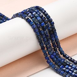Natürlicher Lapislazuli Perlenstränge&nbsp;G-E608-B12