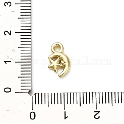 Aluminium Anhänger & Charms&nbsp;X1-FIND-A051-02B-G
