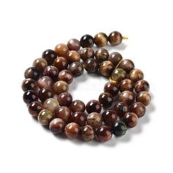 Brins de perles naturelles en œil de tigre arc-en-ciel&nbsp;G-NH0002-A01-B05