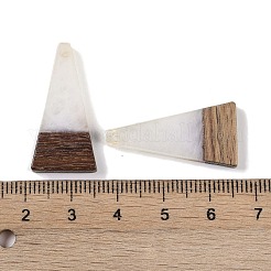 Pendentifs en résine & en bois&nbsp;WOOD-F015-03H