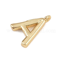 Breloques en laiton&nbsp;KK-I352-03G