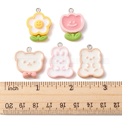 10pcs 5 Arten undurchsichtige Harzanhänger&nbsp;RESI-FS0001-54
