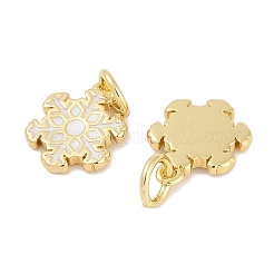 Messing Emaille Anhänger / charms&nbsp;KK-Q028-04G