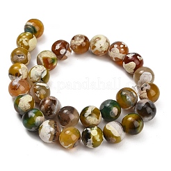 Natürliche Feuer Crackle Achat (gefärbt und erhitzt) Perlen Stränge&nbsp;G-K425-A02-14mm