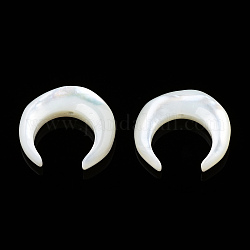 Perles de coquillage blanc naturel, croissant de lune, 13x13x3mm, Trou: 0.8mm, environ 6 pcs / sachet 