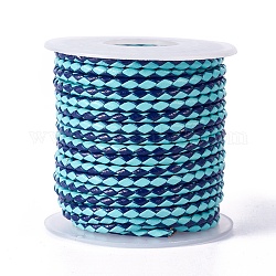 Braided Cowhide Cord, Leather Jewelry Cord, Jewelry DIY Making Material, with Spool, Deep Sky Blue, 3.3mm, 10yards/roll