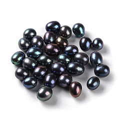 Perle di perle d'acqua dolce coltivate naturali tinte, mezzo forato, riso, grado 5a+, nero, 9.5~11x7.5~9mm, Foro: 0.9 mm