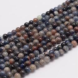 Chapelets de perles en sodalite naturel, ronde, 3mm, Trou: 0.6~0.7mm, Environ 135 pcs/chapelet, 15.5 pouce
